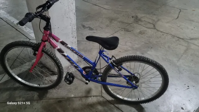 Bicicleta niña 20 pulgadas. Marca BH