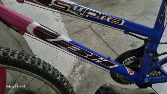 Bicicleta niña 20 pulgadas. Marca BH