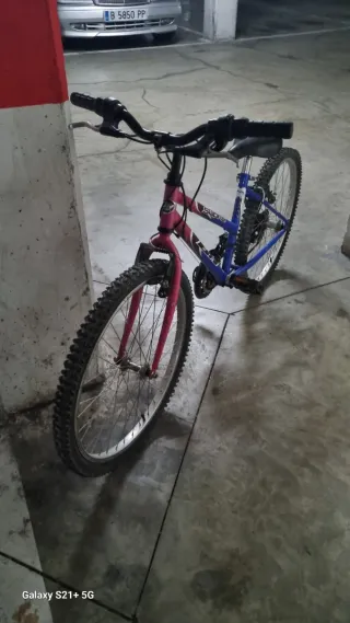 Bicicleta niña 20 pulgadas. Marca BH