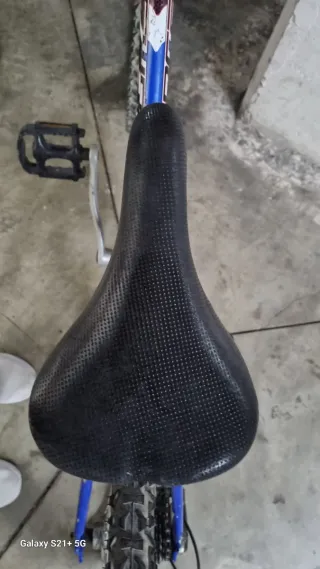 Bicicleta niña 20 pulgadas. Marca BH