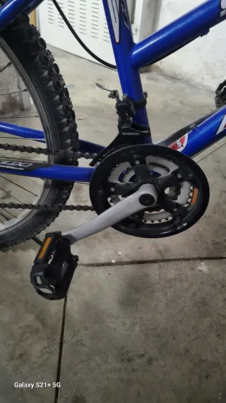 Bicicleta niña 20 pulgadas. Marca BH