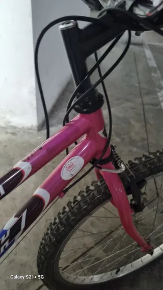 Bicicleta niña 20 pulgadas. Marca BH