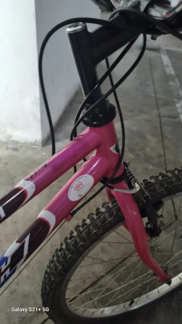 Bicicleta niña 20 pulgadas. Marca BH