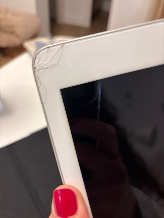 Apple iPad Plata/Blanco