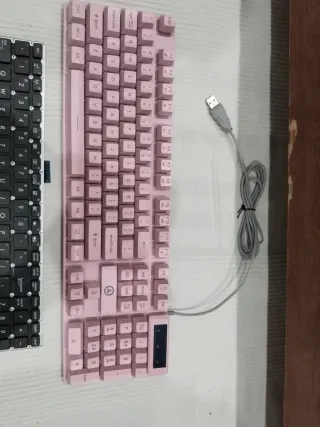 Teclado y placa de teclado