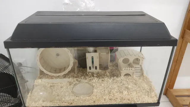 Aquário para Hamster com Acessórios