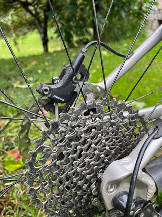 Commencal Meta HT 24  Champagne Niño