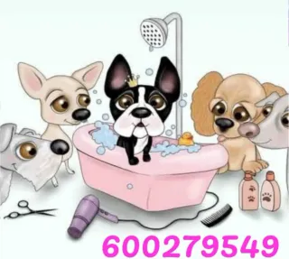 Peluquera canina en Almenara