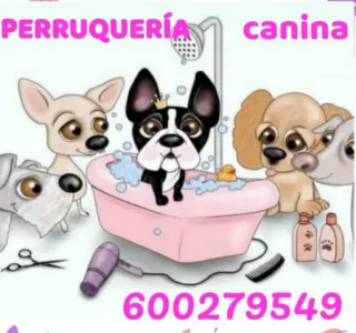 Peluquera canina en Almenara