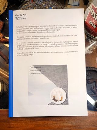 2 Stampe Ayrton Senna & Michael Schumacher