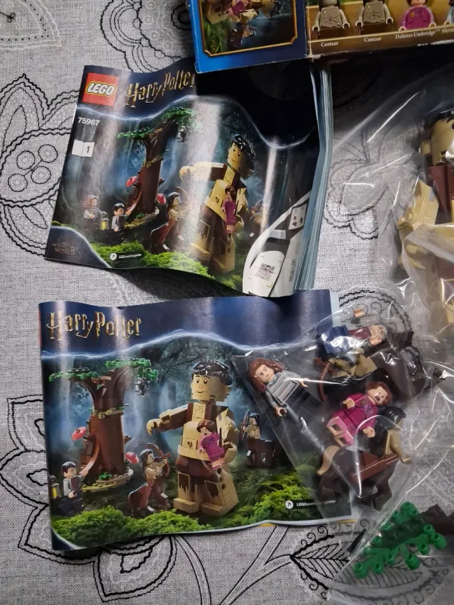 LEGO Harry Potter 75967 Bosco Proibito + pezzi