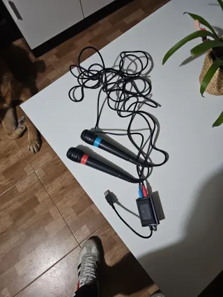 Micrófonos para PS2