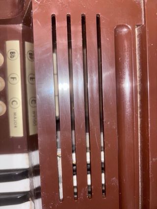 Organo Eléctrico Vintage