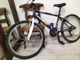 Bicicleta MYRTEA LOOSEBIKE. De 10 a 14 años