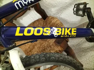 Bicicleta MYRTEA LOOSEBIKE. De 10 a 14 años