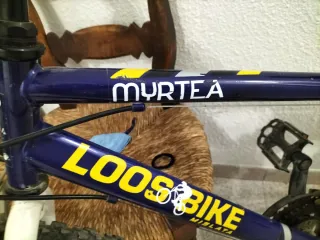 Bicicleta MYRTEA LOOSEBIKE. De 10 a 14 años