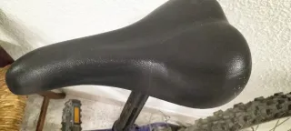 Bicicleta MYRTEA LOOSEBIKE. De 10 a 14 años