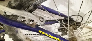 Bicicleta MYRTEA LOOSEBIKE. De 10 a 14 años