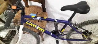 Bicicleta MYRTEA LOOSEBIKE. De 10 a 14 años