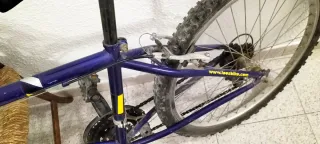 Bicicleta MYRTEA LOOSEBIKE. De 10 a 14 años