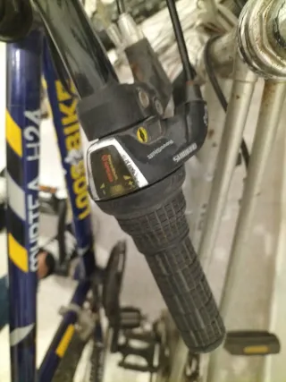 Bicicleta MYRTEA LOOSEBIKE. De 10 a 14 años