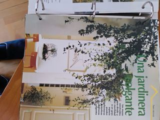 Plantas y decoración