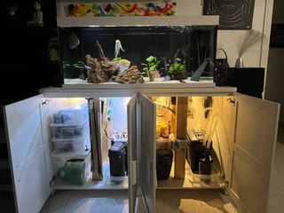 Acuario Eheim Vivaline 240