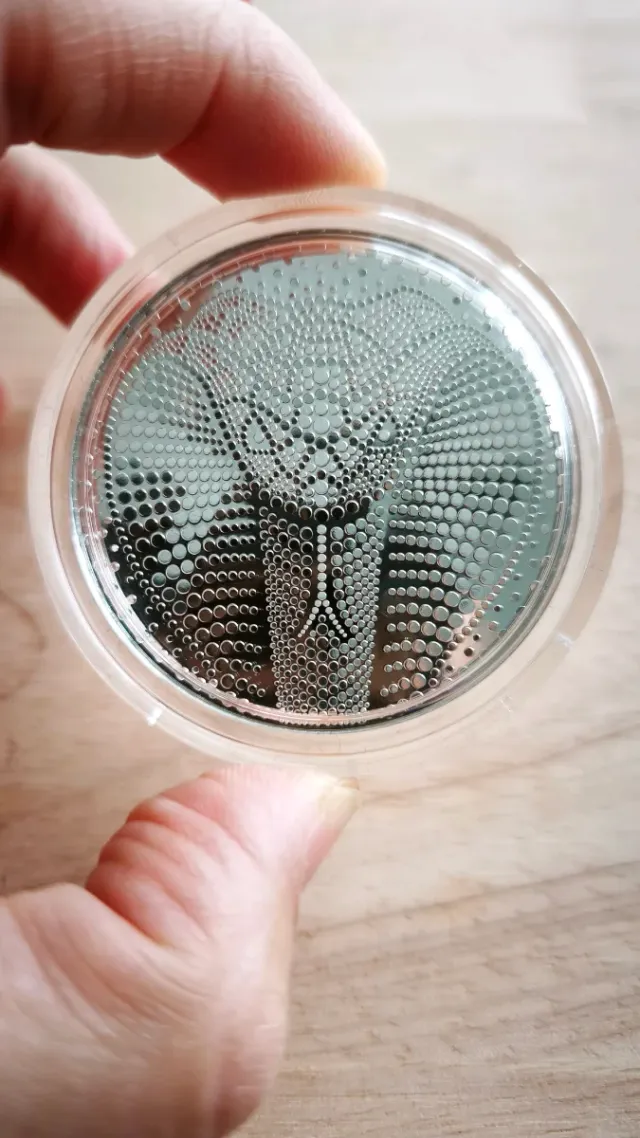 Moneda Plata 2 Oz Año Serpiente Niue 2025 500 unid