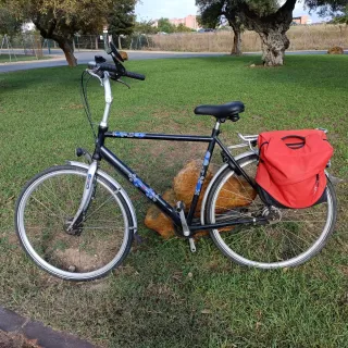 Bici Holandesa 28 pulgadas, 7 marchas buje interno