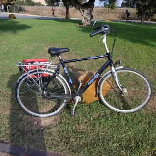 Bici Holandesa 28 pulgadas, 7 marchas buje interno