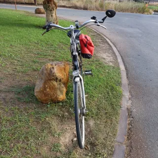 Bici Holandesa 28 pulgadas, 7 marchas buje interno
