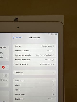 iPad Pro 9.7 256GB Rosa