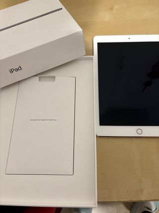 iPad Pro 9.7 256GB Rosa
