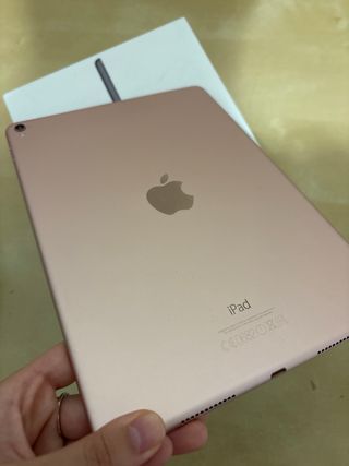 iPad Pro 9.7 256GB Rosa