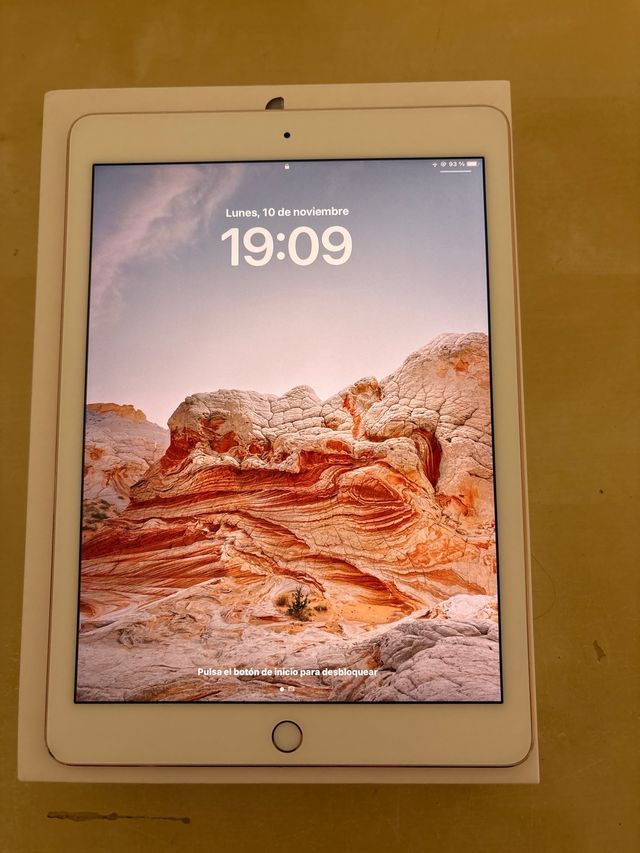 iPad Pro 9.7 256GB Rosa