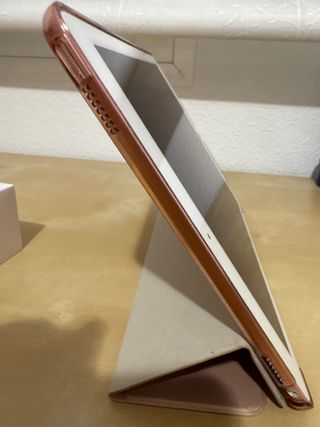 iPad Pro 9.7 256GB Rosa