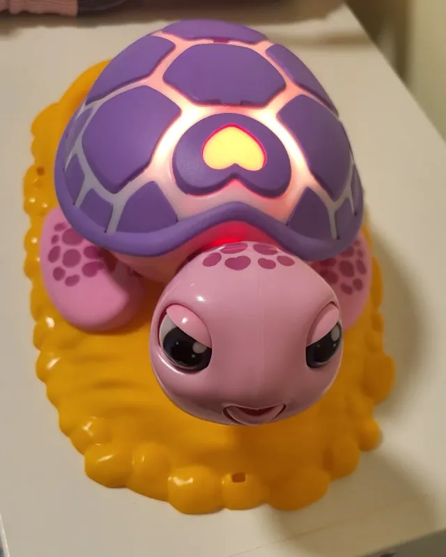 Tortuga Juguete Salva la Tortuga Bizak