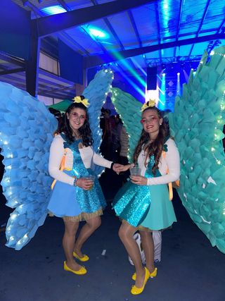 Disfraz Alas Mariposa