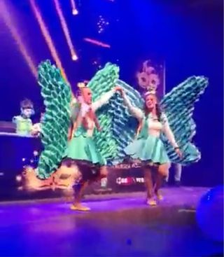 Disfraz Alas Mariposa