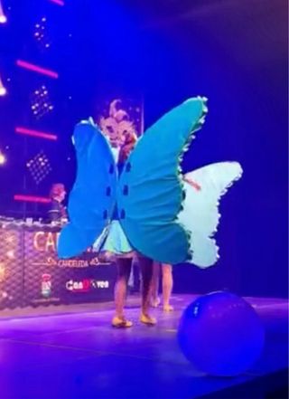 Disfraz Alas Mariposa