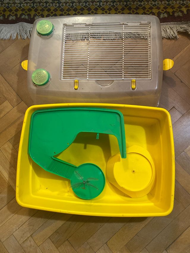 Tortuguero con accesorios