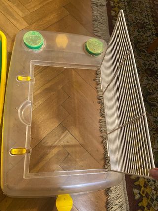 Tortuguero con accesorios