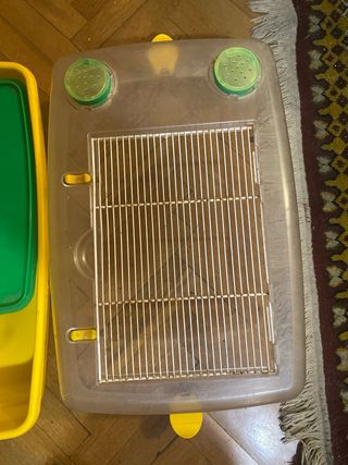 Tortuguero con accesorios