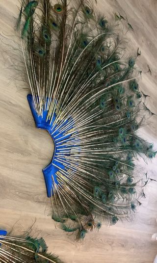 DISFRAZ COLA PAVO REAL