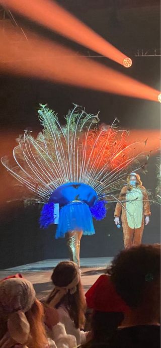 DISFRAZ COLA PAVO REAL