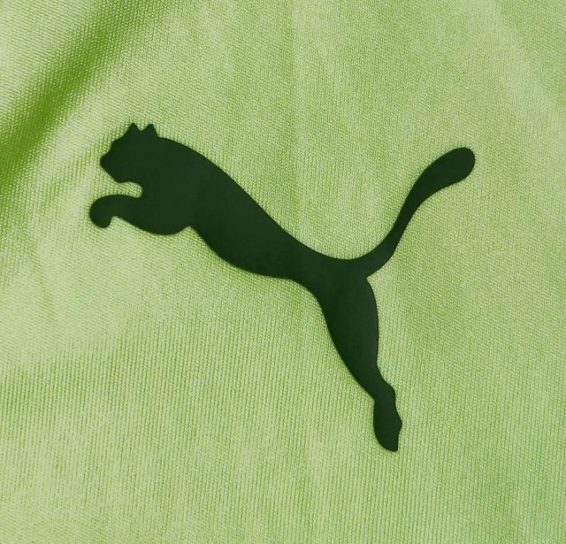 Camiseta Entrenamiento ManchesterCity Puma Talla M