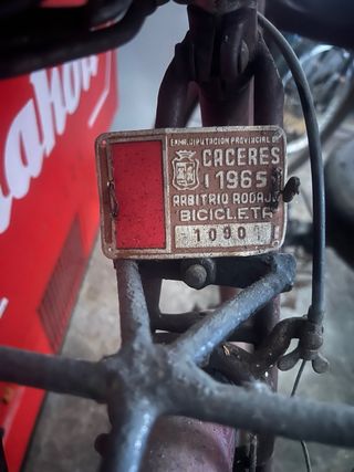 Bicicleta Clásica 1965