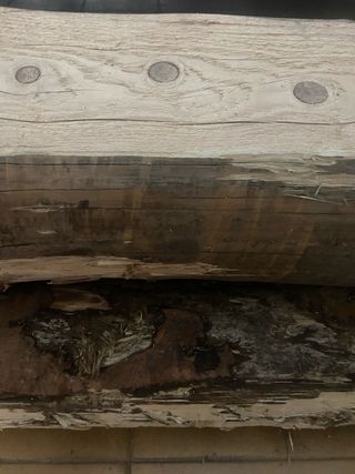 Lote 3 vigas nuevas pino natural