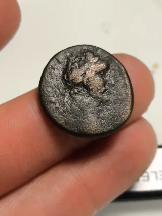 Moneda Romana Antioquía Antonino Pío