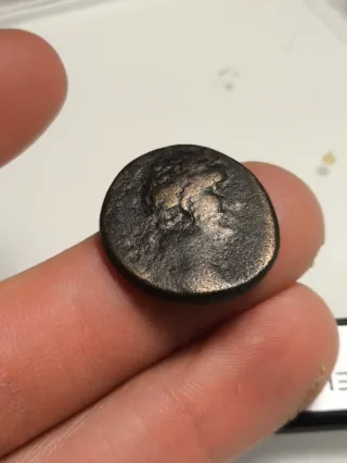 Moneda Romana Antioquía Antonino Pío